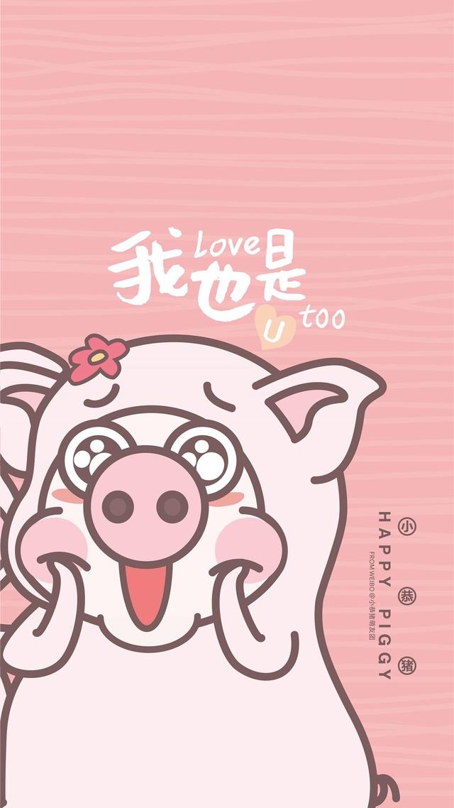壁纸,萌萌小恭猪