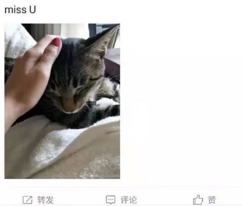 49eb516243ab4a91aef1e064f5a031be.jpeg