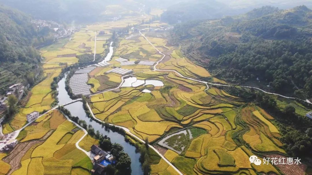 惠水县雅水镇群山环绕,山清水秀,海拔1400左右,日照充足,加上昼夜温差