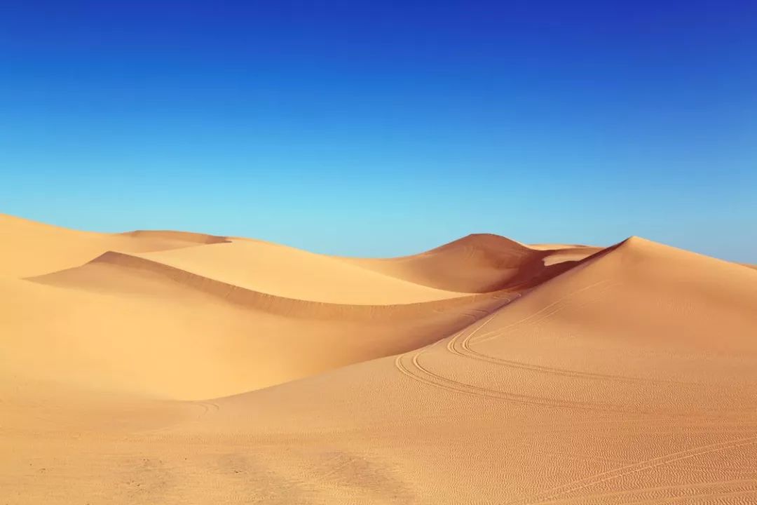 5c744b68ad2f48219c292b588582d0e4.jpeg