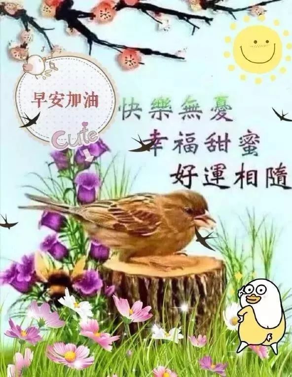 2019ϺͼƬף Ϻʺ