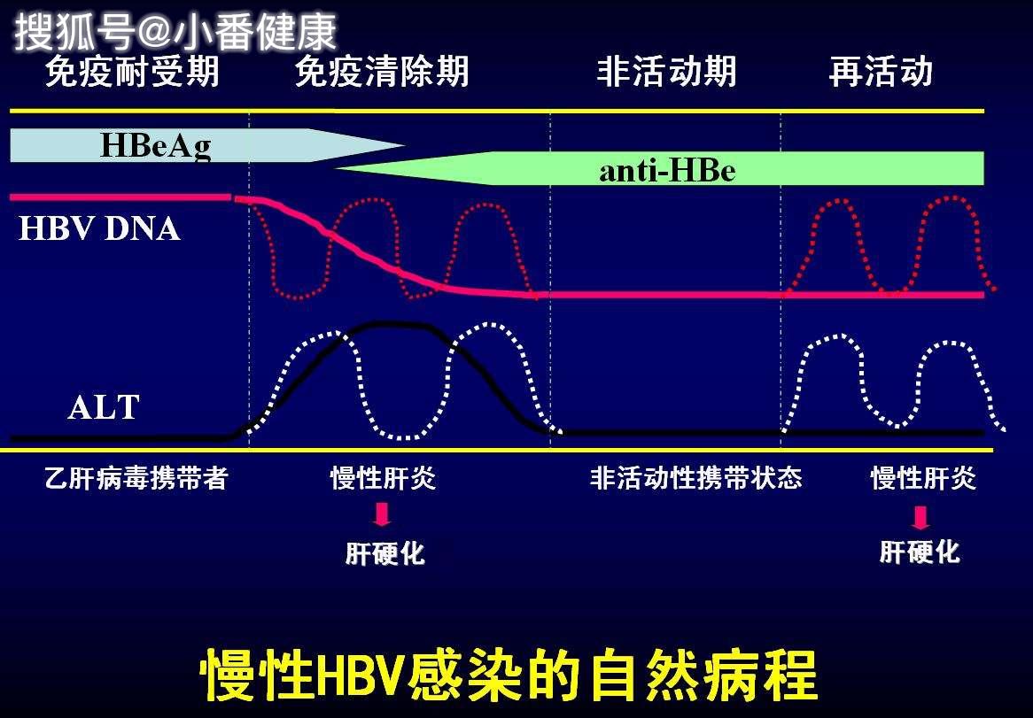 肝功能gdp_肝功能化验单(2)
