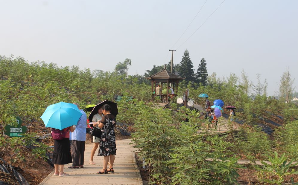 威远县有多少人口_就在刚刚 威远三路口大Gai市上竟发生这种事...(2)