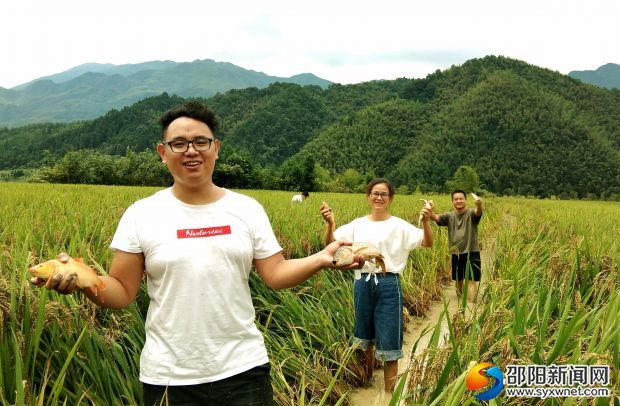 城步县有多少人口_城步县地图