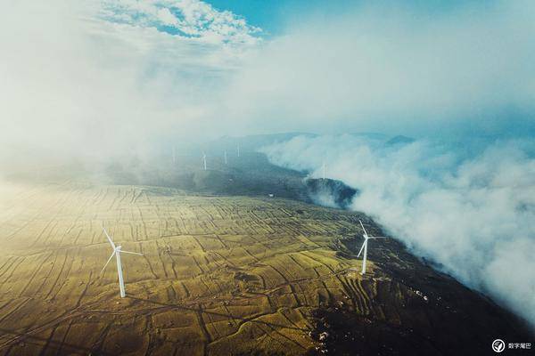 飞云之上:开在云端的星空茶社