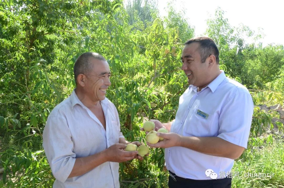 壮丽70年新疆农信丨为了天山南北的繁荣新疆农村信用社倾力支持实体