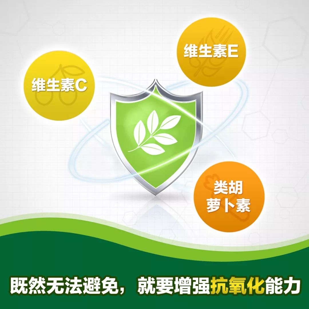 微知识:抗氧化营养素