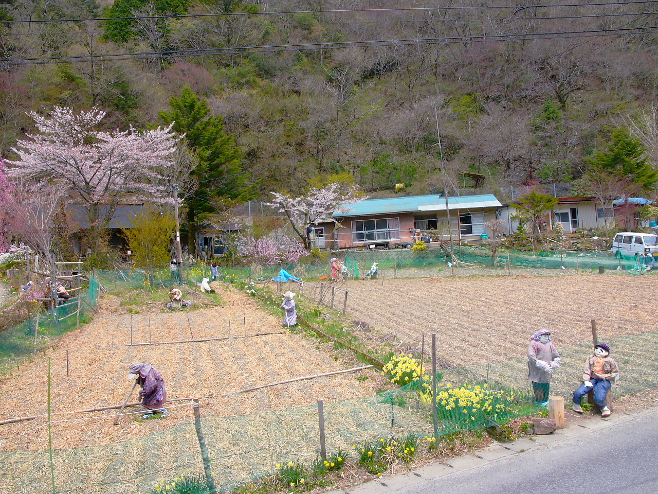 水寨大布村人口_新密市良水寨村(3)