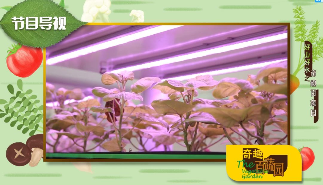 猜成语万物生长靠太阳_万物生长靠太阳简笔画