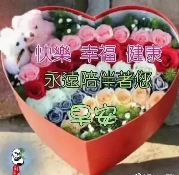 2019ϺͼƬף Ϻʺ