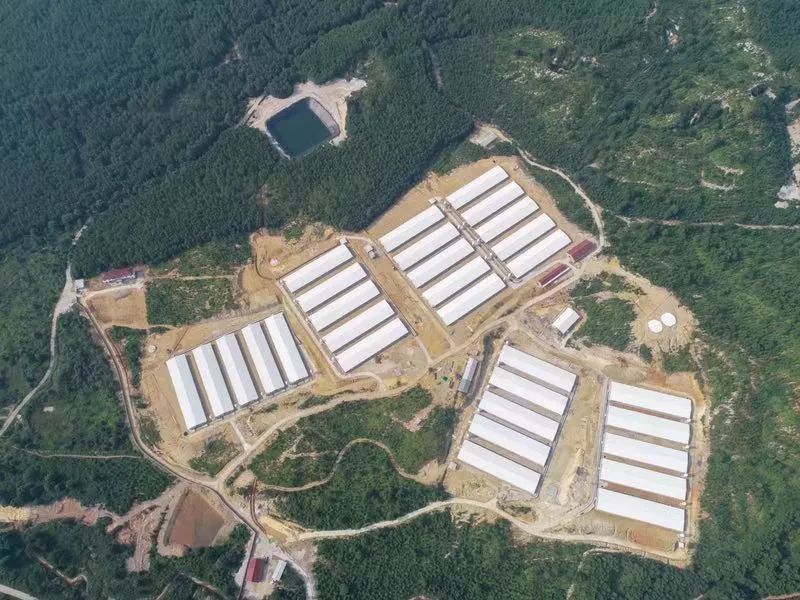 来到安福县竹江乡小车村稻虾共养建设基地,只见400余亩稻田正在井然