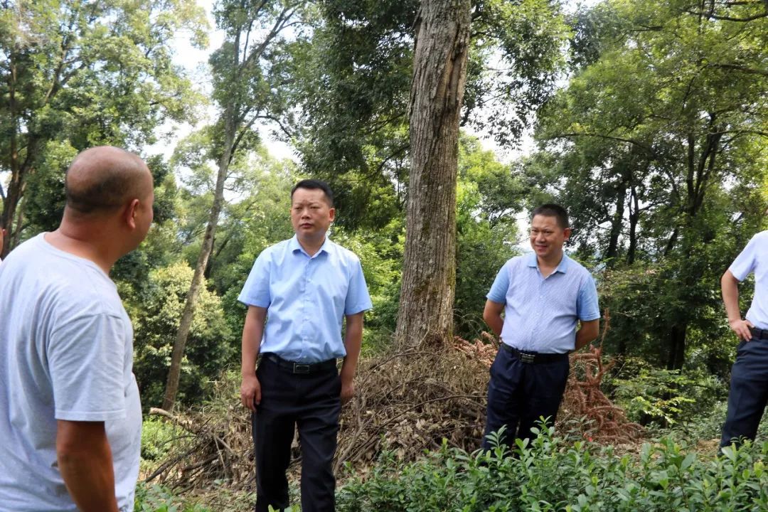 陈瑞祥到花山苗族乡调研产业发展和500亩坝区工作