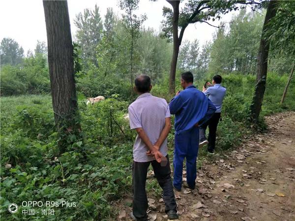 扶贫贷款耕牛丢失 桐柏民警走访查找解民忧