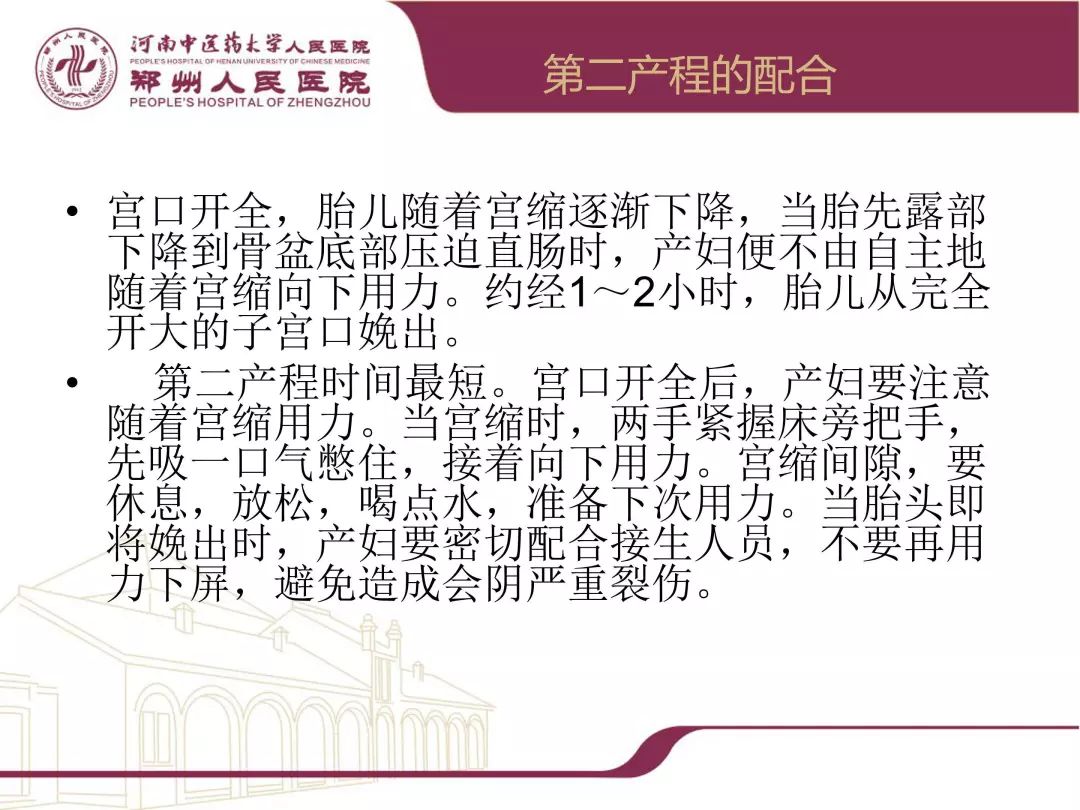 【科普大赛获奖视频展播⑥】《卡路里》