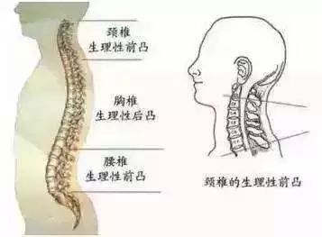 膀胱虚怎么调理 ab968f21c9e14286a82af22b80b2b9d6.jpeg
