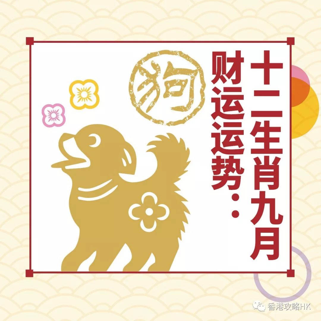 十二生肖今日运势和财运运势 ae3395966c774c4b847ebb3056660569.jpeg