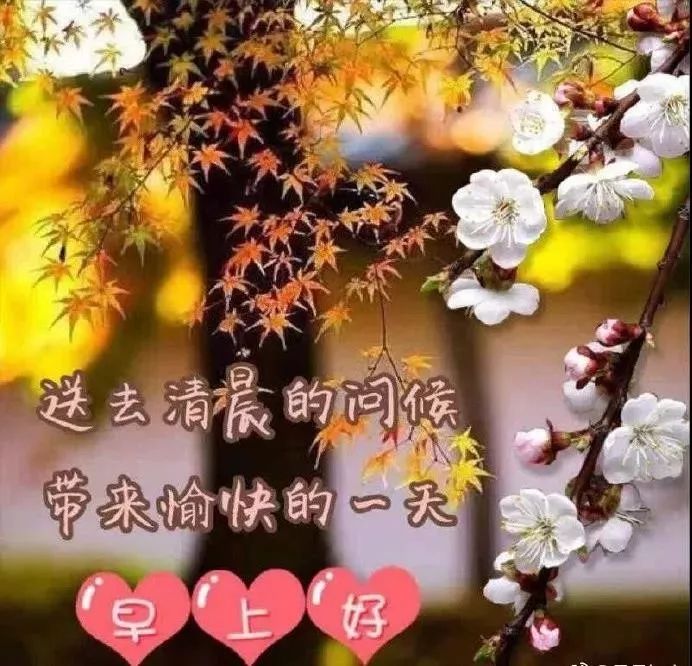 9月5日周四群发早上好问候祝福动态表情图片 最美早晨