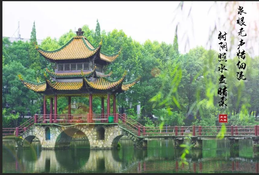 探索篇||井冈山大学的"网红"景点