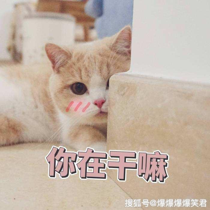 为什么这样折磨我 c173ab2c549741eaa05c032dd40a87c9.jpeg