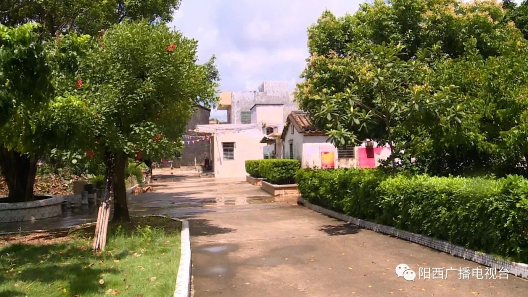 儒洞镇人口_大安镇新儒小学