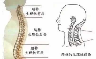                     你家宝宝的枕头用对了吗？