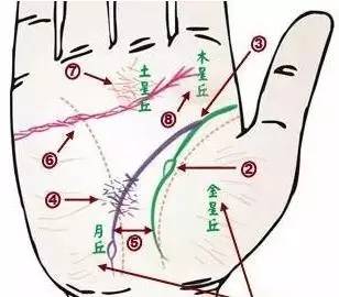 中医四诊24种手诊图堪比x光线揭示你的身心健康