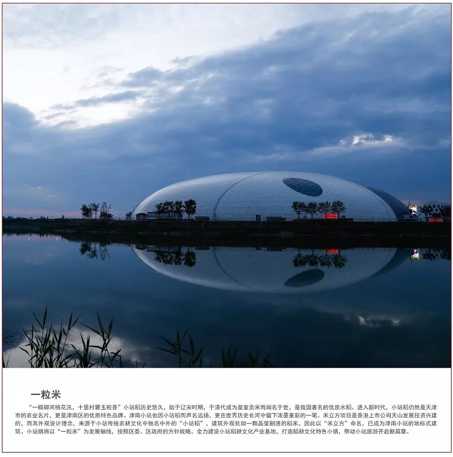 新颜摊场在农业现代化的宽广大道上阔步前行作为小站稻发源地的津南从