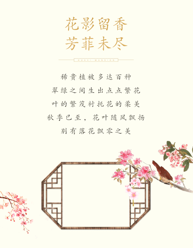 640_821 竖版 竖屏