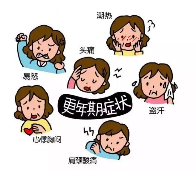 d528e7aac3f443ad819a00c3d033e005.png