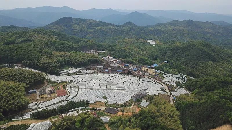 霞浦人口总数_霞浦滩涂(2)