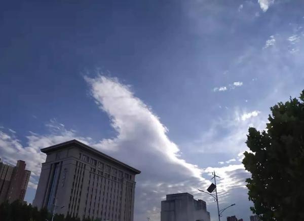 未来3天天气郑州 dfb29785926d419bb4a1ec5e33d85add.jpeg