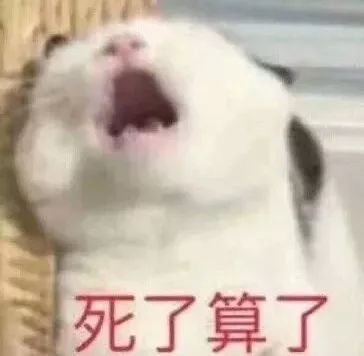 e3f00d66530c4e80a72dff5c88f81194.jpeg