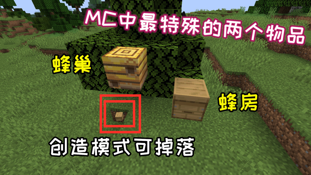 怎么下载我的世界java版正版 e96f4bb9cbc44302b656ee53ba8ef376.jpeg