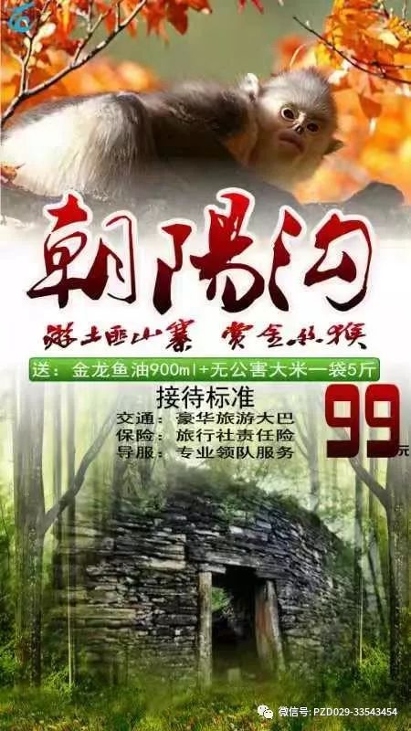 【飘之队】9月8日宁陕朝阳沟-观野生金丝猴,探秘土匪山寨行摄一日游