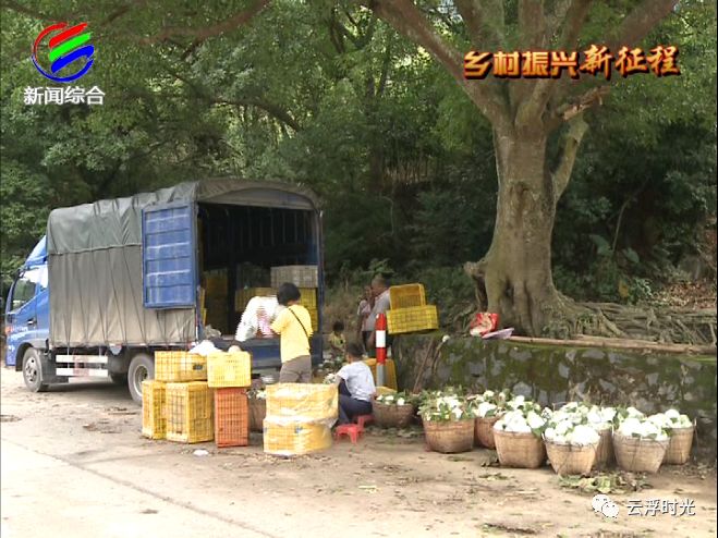 通门玉堂人口_玉堂清玩炉真品全图