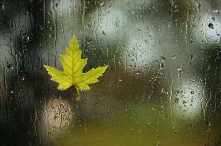 谁说雨季太down,崇明雨景美如画