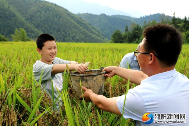 城步县有多少人口_城步县地图