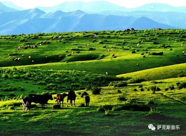 【唱支山歌给党听】 经典革命歌曲(深情中音萨