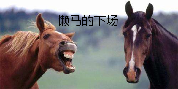 懒马的下场