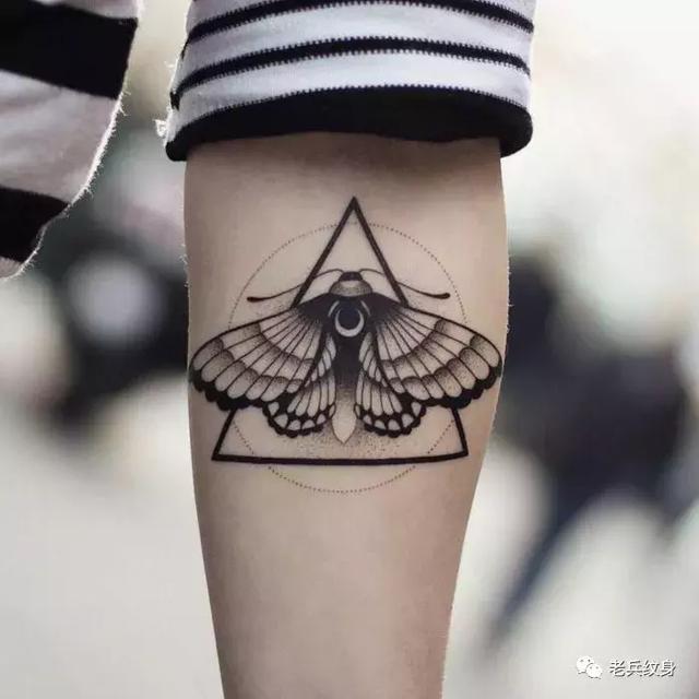 纹身素材飞蛾