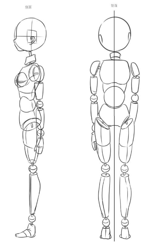 女生站姿怎么画,利用重心线和参考线画好站姿的方法
