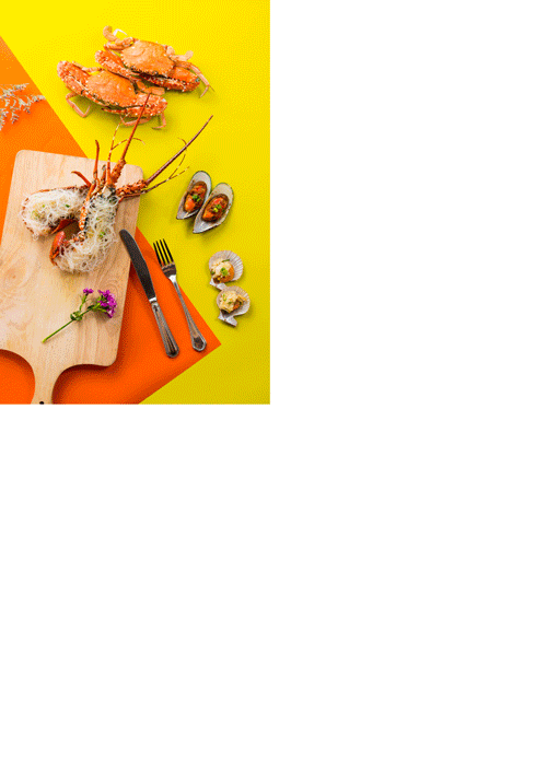 500_716 竖版 竖屏