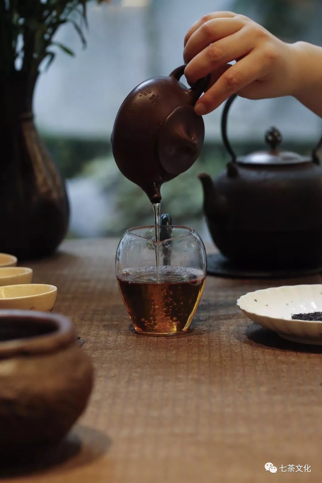 周末食茶丨为什么我们开始喜欢喝不同的茶?