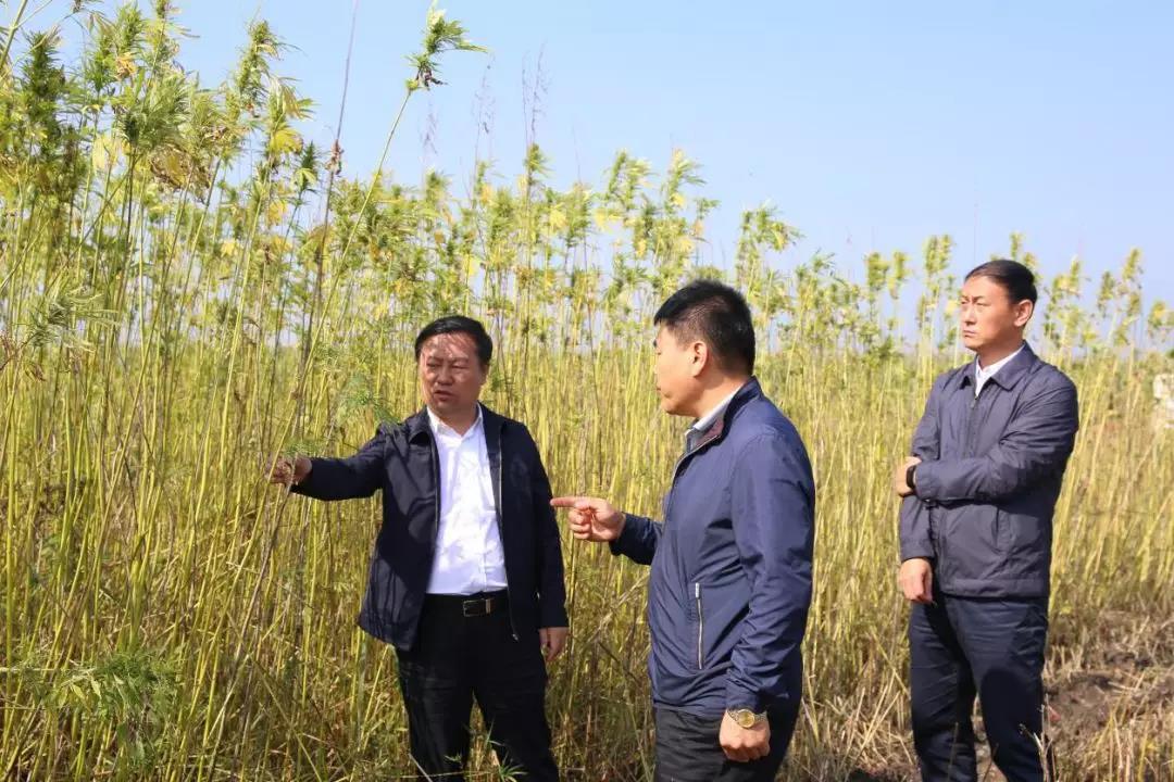 明水县经济总量_明水县地图