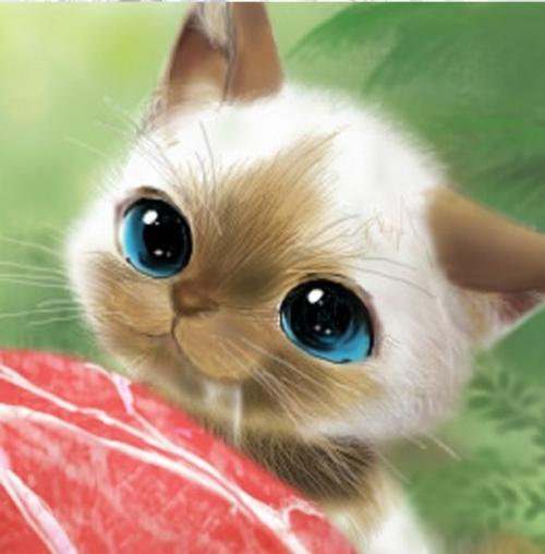 梦境迷踪,梦见猫咬我脚——解密潜藏的寓意与心理暗示 梦境迷踪,梦见猫咬我脚——解密潜藏的寓意与心理暗示