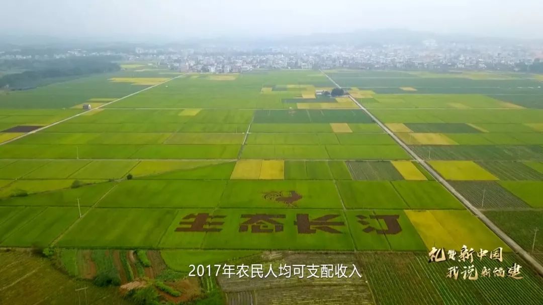 尼日利亚人口超过1亿经济以农业_中国高速公路编号傻傻搞不清楚 附你应该掌(3)