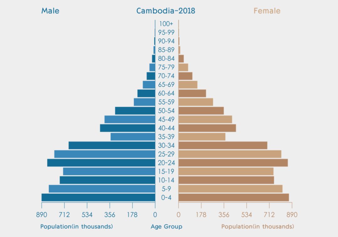 什么叫人口红利_外资大撤退,是中国制造业升级的曙光,还是被抛弃的前奏(3)