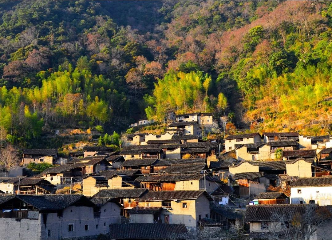 张村乡人口_蚌山区燕山乡洼张村