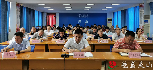 灵山县副县长陆汉川在灵山分会场参加会议,并代表灵