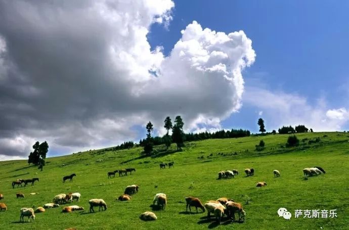 【唱支山歌给党听】 经典革命歌曲(深情中音萨